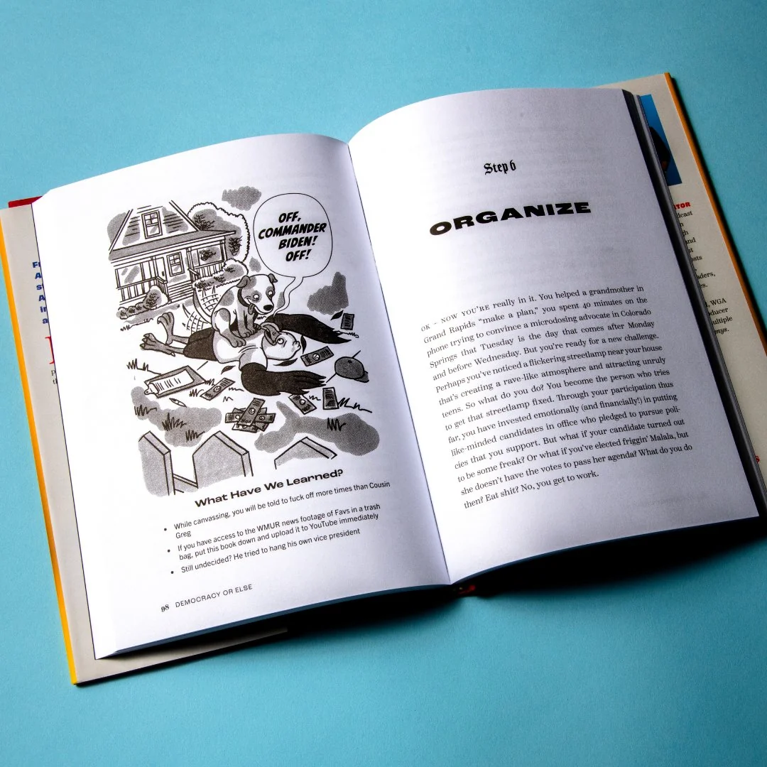 Democracy or Else: How To Save America In 10 Easy Steps Book - Image 4