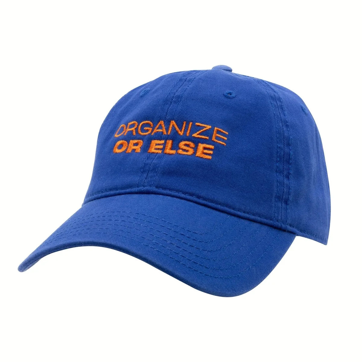 Vote Save America Organize or Else Hat